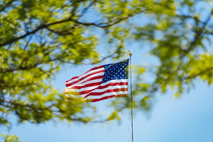 United States of America flag near green tree